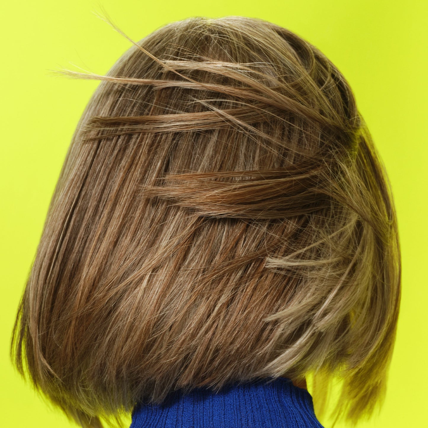 frizz-to-rizz-trio-r0 111725_Vicky_HumidityAntifrizz-Editorial_0538_w2QC_IGF_1x1_05a09617-4ccf-44a2-8545-199321a503e1.jpg