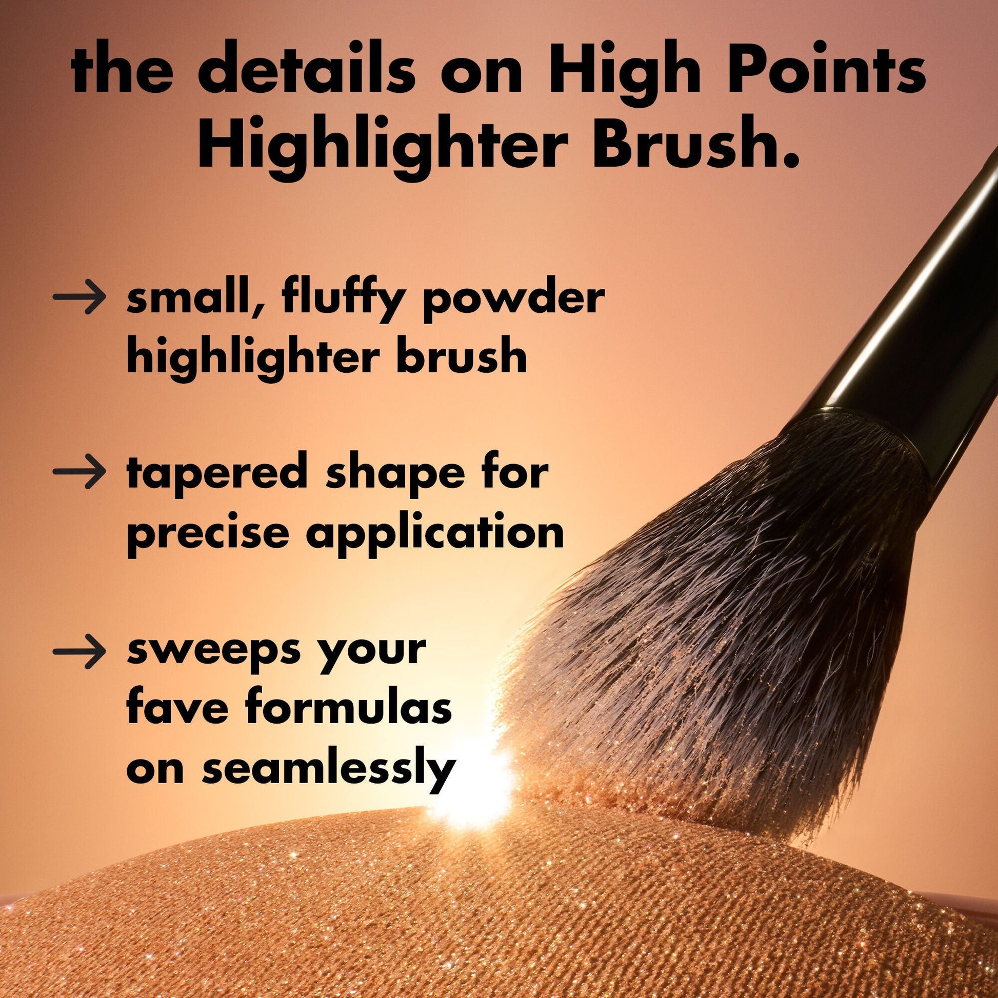 high-points-highlighter-brush-h3 0226_EDU_HighpointsHighlighterBrush_Details.jpg