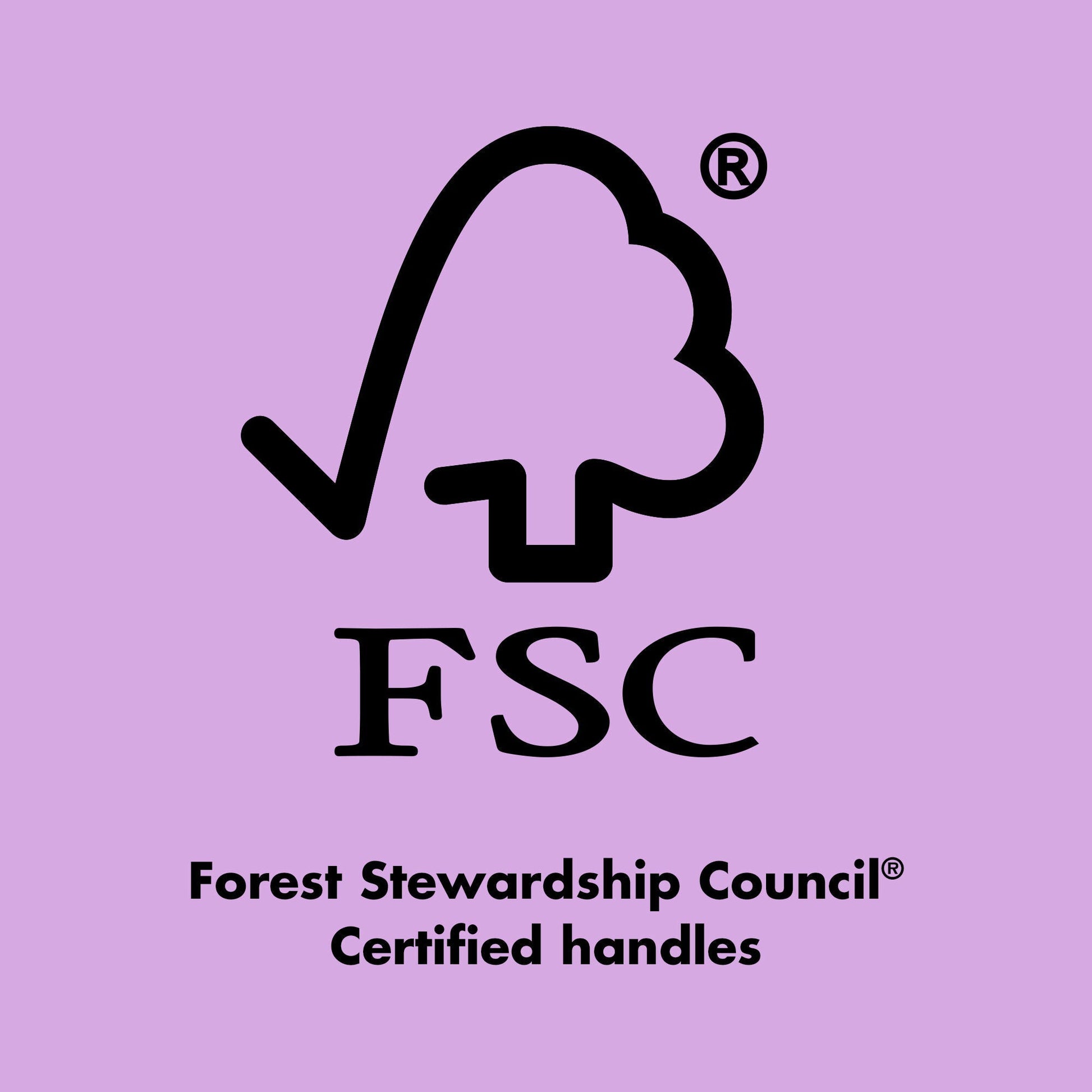ten-out-of-ten-brush-kit-z7 0423_EDUCATION_FSC_EVERGREEN.jpg