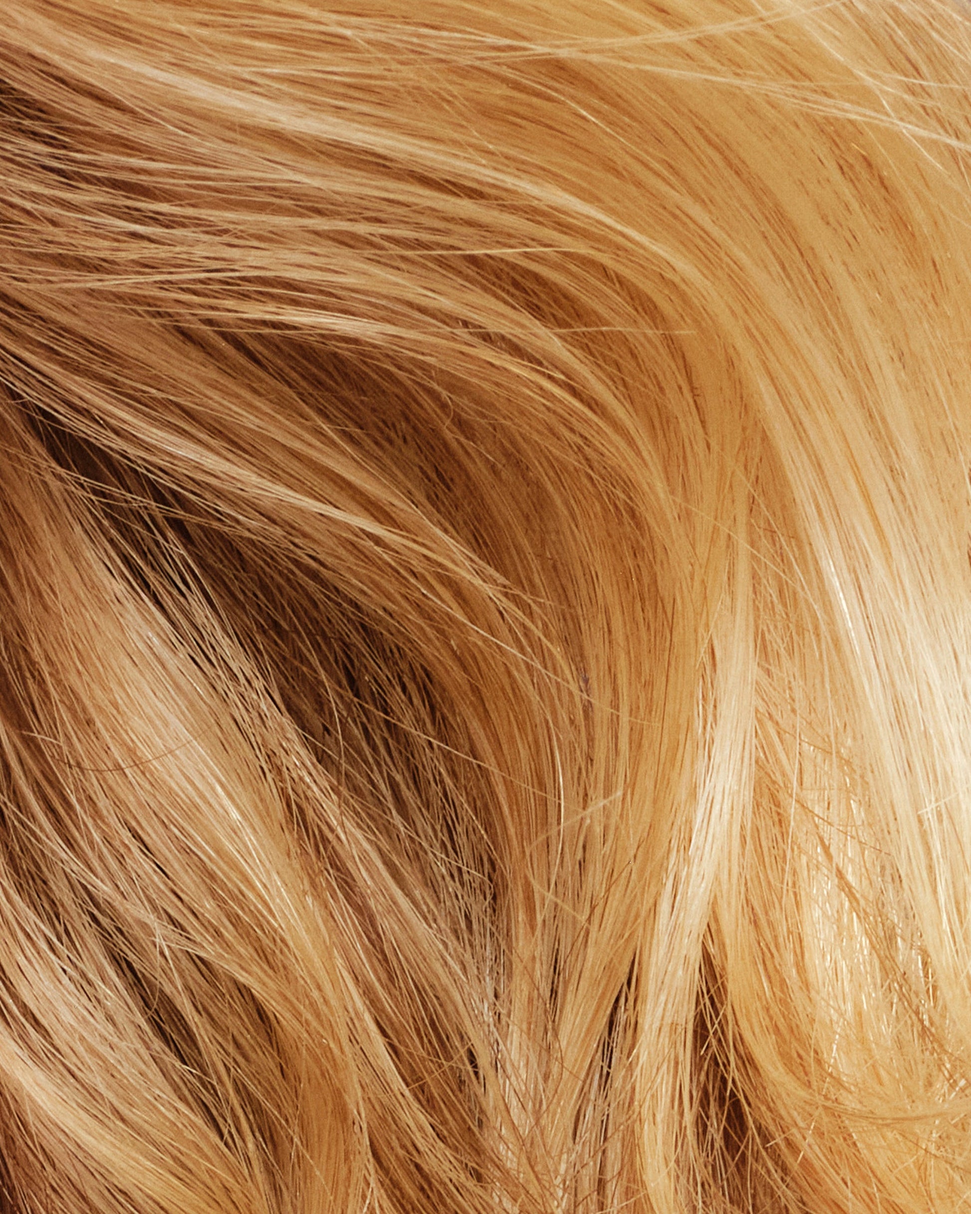 never-thirsty-moisturizing-shampoo-l9 111925_Anna_ThirstyShampoo-Product_3353_w4QC_V2_IGF_4x5_527d5445-92a2-4169-a5e5-062d364160a9.jpg