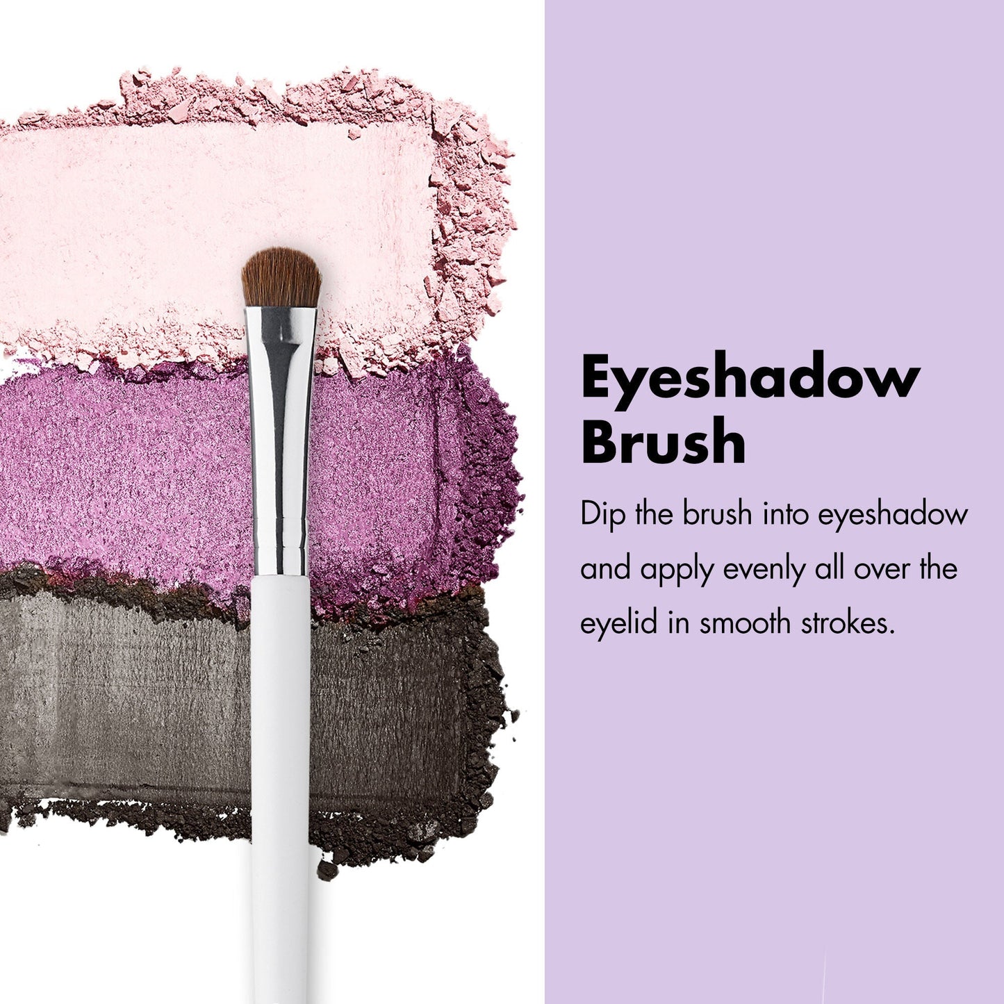 professional-set-of-12-makeup-brushes-i5 ProfessionalBrushes_Eye_EyeshadowBrush_PDP_Edu_2000x2000_2418e3b8-bb65-4e6d-af53-e6d0aab002ae.jpg